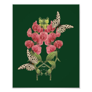 Impression Photo Fleurs De Pois Sucrées Et Papillons 8x10
