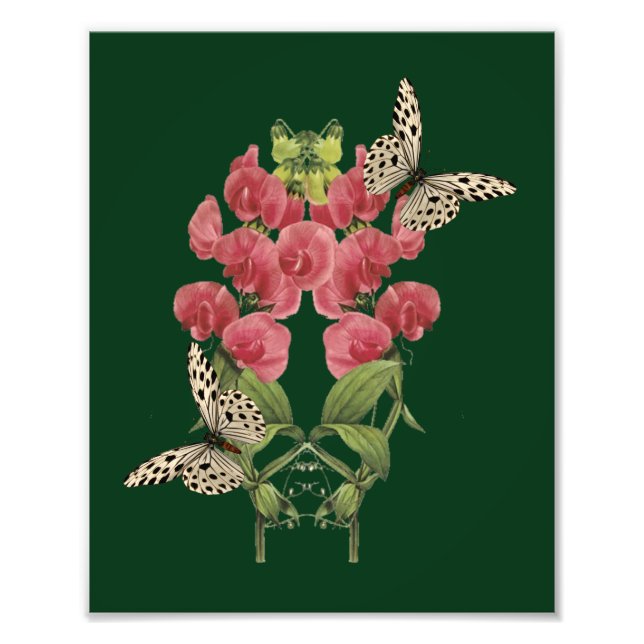 Impression Photo Fleurs De Pois Sucrées Et Papillons 8x10 (Devant)