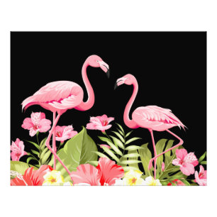 Impression Photo Fleurs Et Flamants roses Tropicaux-32146