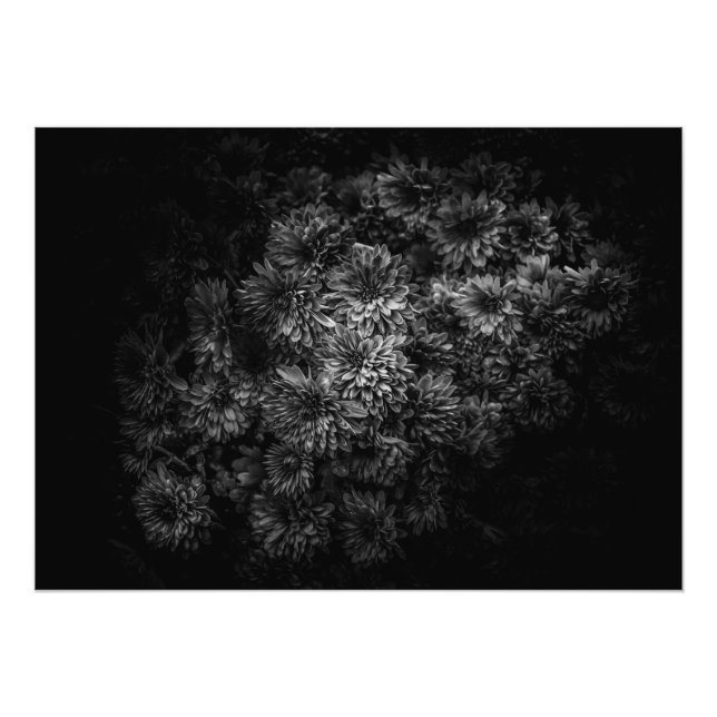 Impression Photo Fleurs jardins En Noir Et Blanc No 29 (Devant)