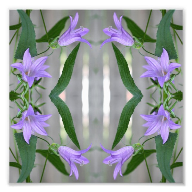 Impression Photo Fleurs Lys violettes délicates Miroir Abstrait 8x8 (Devant)