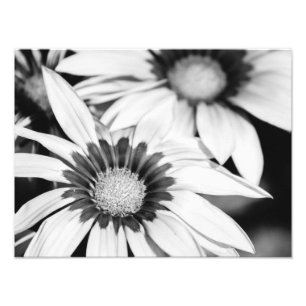 Impression Photo Fleurs noires et blanches