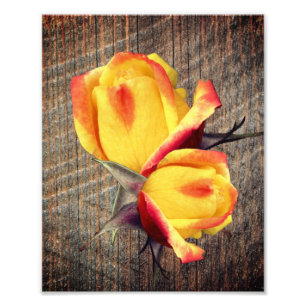 Impression Photo Fleurs Rosebud Jaunes Sur Barnboard 8x10