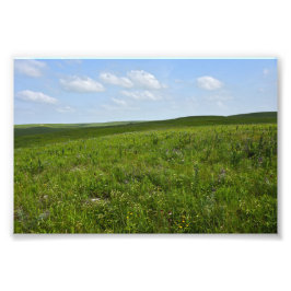 Impression Photo Flint Hills Fleurs sauvages, Kansas