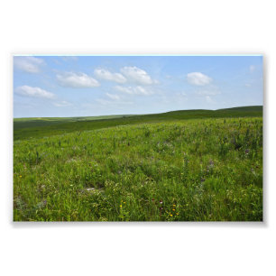 Impression Photo Flint Hills Fleurs sauvages, Kansas