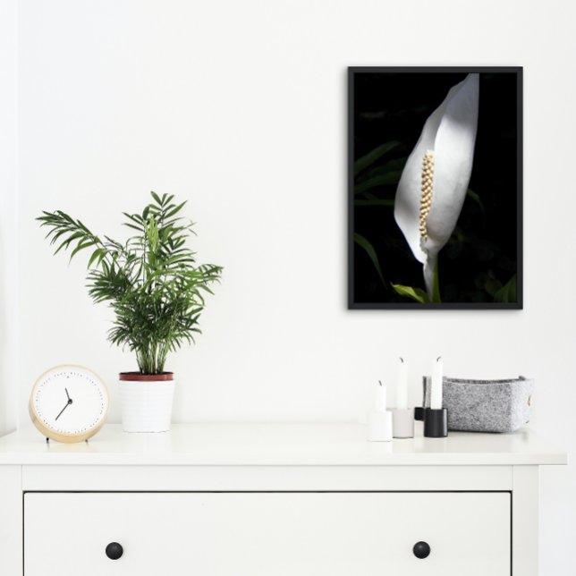Impression Photo Floral Plante blanc Lily (In Situ Framed)