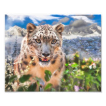 FLOWERS DE SNOW LEOPARD