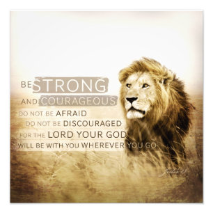 Impression Photo Force