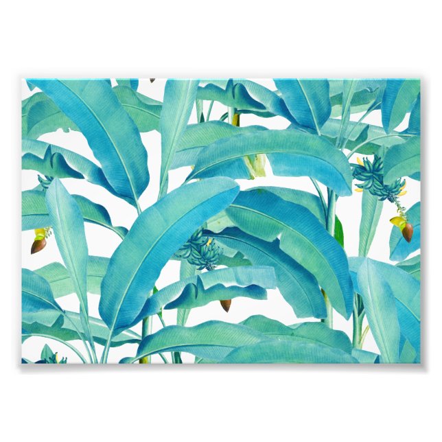Impression Photo Forêt de bananes (Devant)