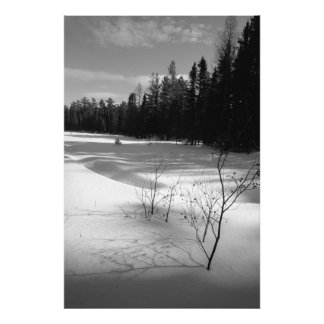 Impression Photo Forêt nord neigeuse