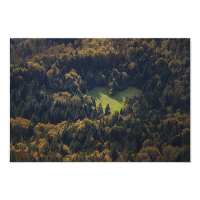 Impression Photo Forme cardiaque dans une forêt en Slovénie (Devant)