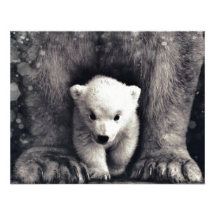 Impression Photo Fort Comme Mamma Polar Bear Cub