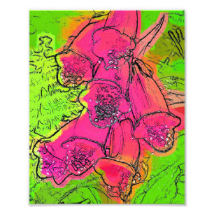 IMPRESSION PHOTO FOXGLOVES