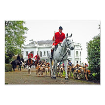 Foxhound Dogs Horses West Berkshire Hunt England