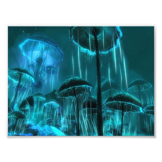 Impression Photo Fromage de champignons (Devant)