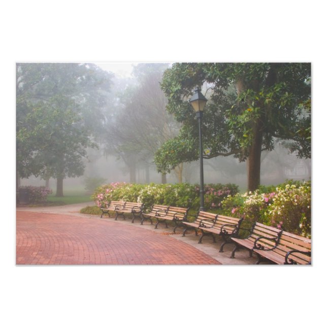 Impression Photo GA Savannah, Azaleas, le long du trottoir en briqu (Devant)