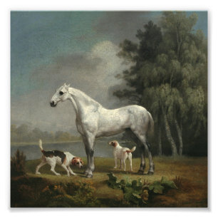 Impression Photo George Stubbs - Un chasseur de gris pomme