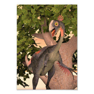 Impression Photo Gigantoraptor Art Aventure Dinosaure pour Enfants
