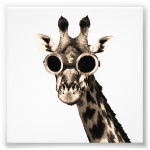 Impression Photo Girafe avec des lunettes de lunettes de soleil de