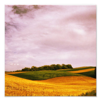 Impression Photo Golden Farmland