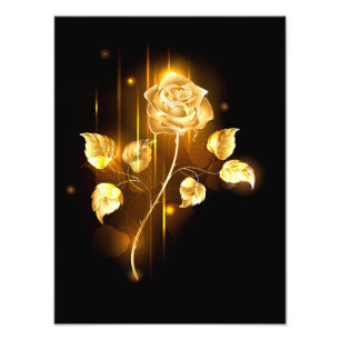 Impression Photo Golden rose ( gold rose )