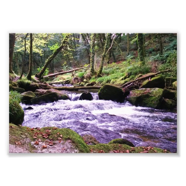 Impression Photo Golitha Falls River Fowey Cornwall Angleterre (Devant)
