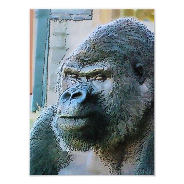 IMPRESSION PHOTO GORILLAS (Devant)