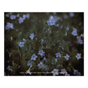 Impression Photo Grâce aux abeilles