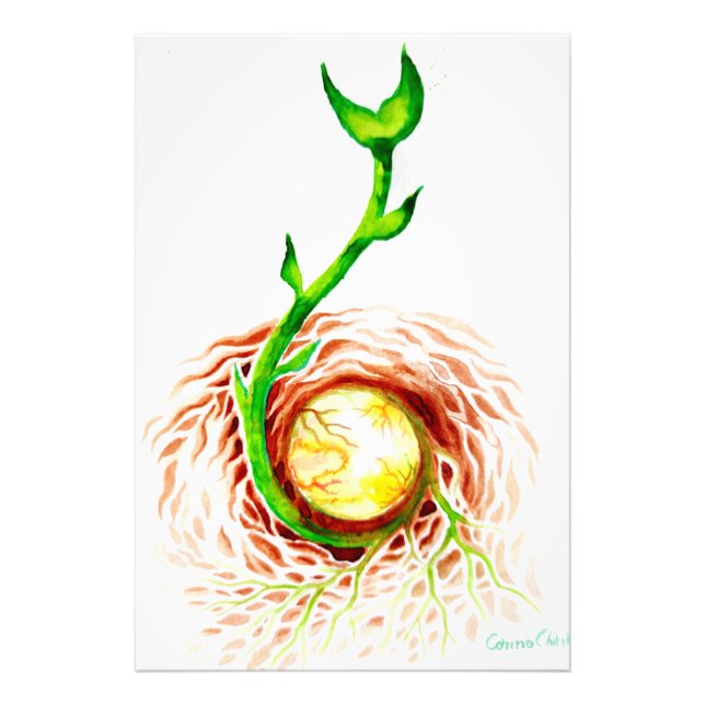 Impression Photo Graine de l'affiche de vie imprimé (Devant)