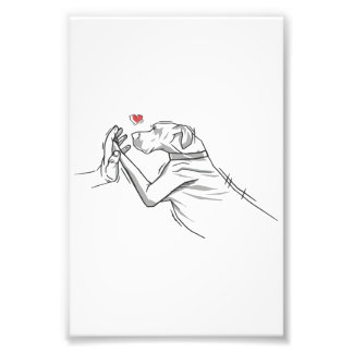 Impression Photo Grand Chien Danois