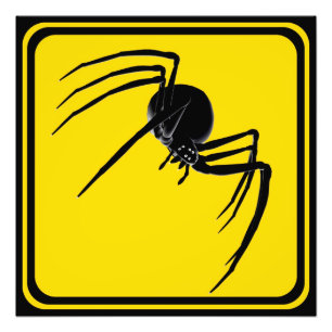 Impression Photo Grand croisement d'araignée !