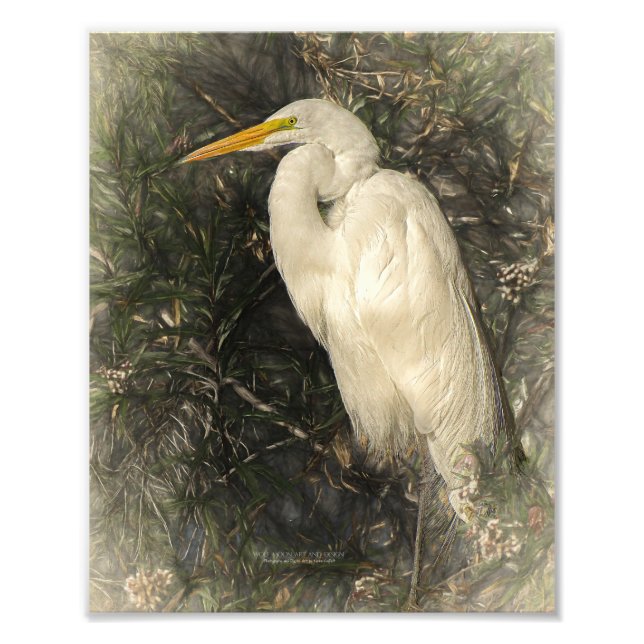 Impression Photo Grande peinture d'Art numérique d'oiseaux d'aigret (Devant)