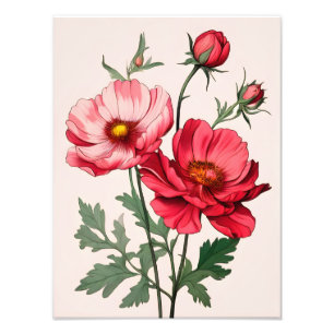 Impression Photo Grattez Pépies roses et rouges Peinture