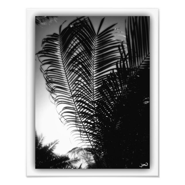 Impression Photo Graveurs Sky (Devant)