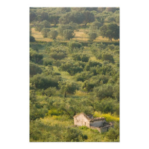 Impression Photo GRÈCE, Îles ioniennes, KEFALONIA, Havriata:
