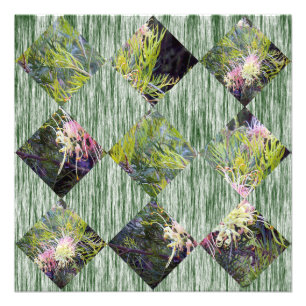 Impression Photo Grevillea : Embrasser les Motifs de Diamants de la