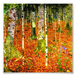 Impression Photo Gustav Klimt Birch Trees