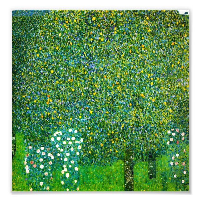 Impression Photo Gustav Klimt Roses Sous L'Arbre À Poires (Devant)