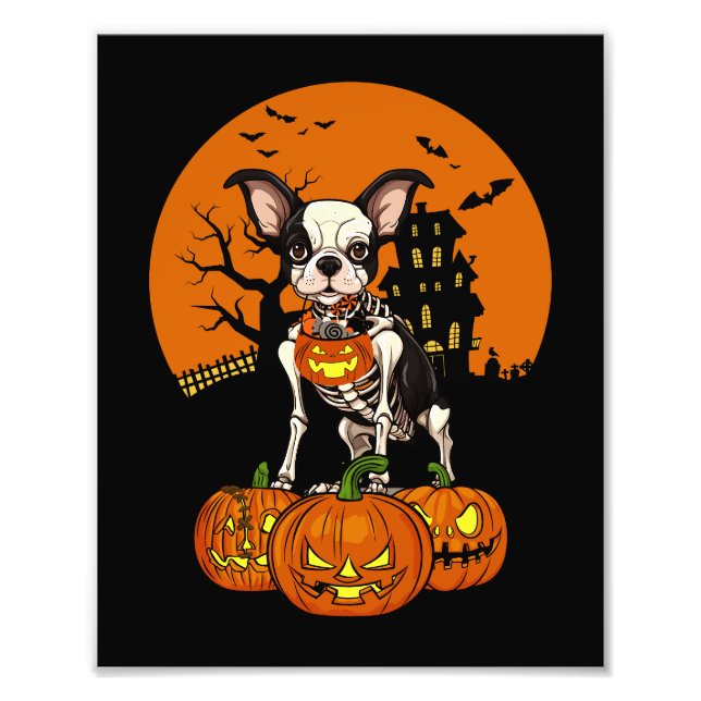 Impression Photo Halloween Boston Terrier Dog (Devant)
