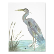 Héron aquarelle