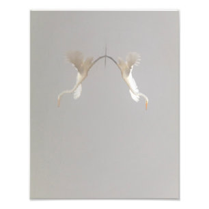 Impression Photo Héron blanc décolle Zen