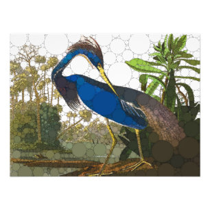 Impression Photo Héron bleu de Louisiane par John James Audubon