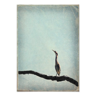 Impression Photo Heron vert d'inspiration vintage sur ciel bleu pâl