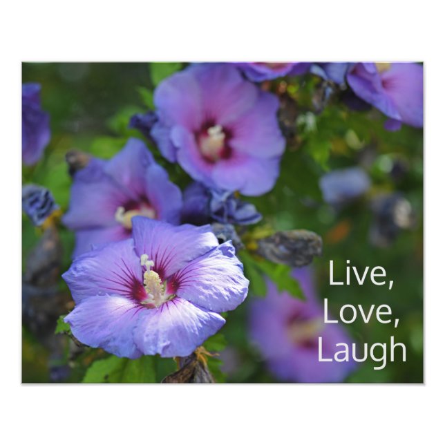 Impression Photo Hibiscus violet Fleurs de jardin Motivationnel (Devant)