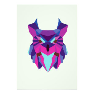 Impression Photo Hibou