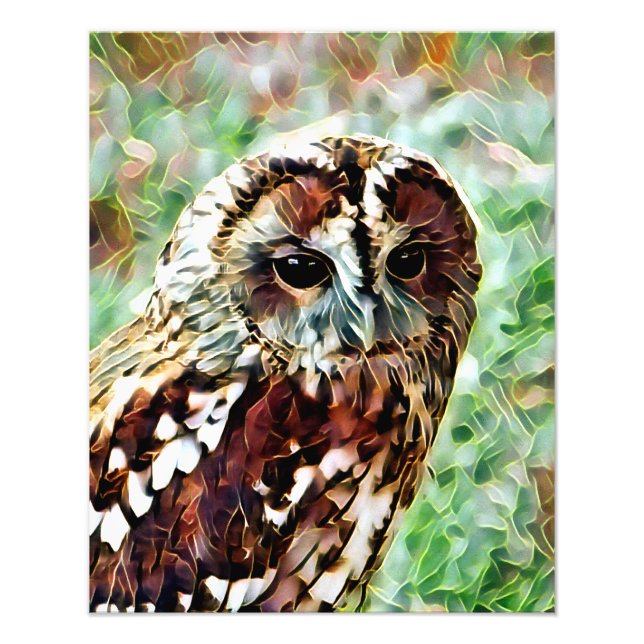 IMPRESSION PHOTO HIBOU (Devant)