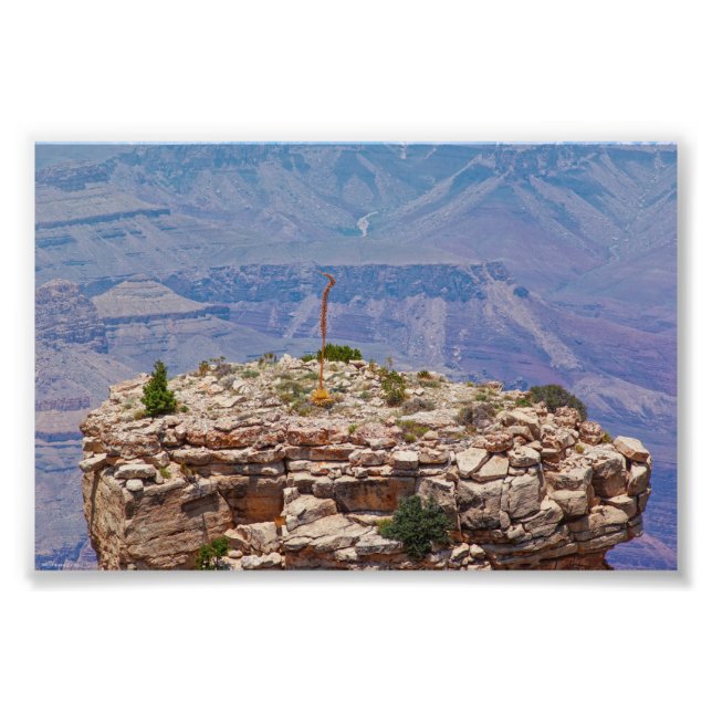 Impression Photo High Garden (Devant)