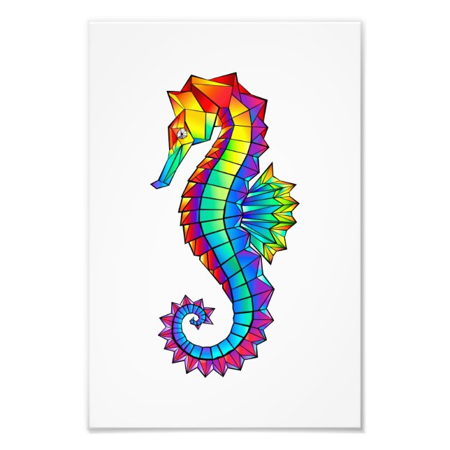Impression Photo Hippocampe polygonal arc-en-ciel (Devant)