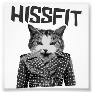 Impression Photo Hissfit Rebel Misfit Kitty Chat