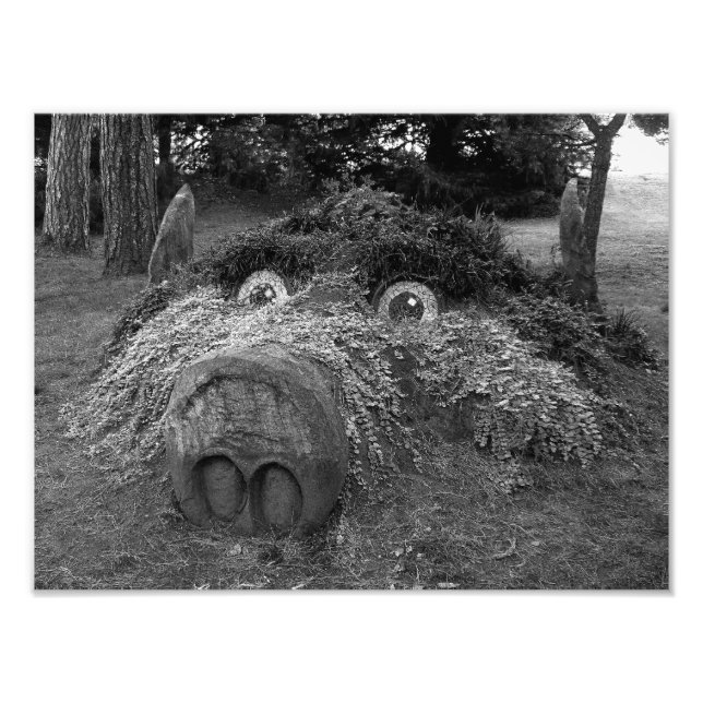 Impression Photo Hogs Head, Bute Park, Cardiff (Devant)